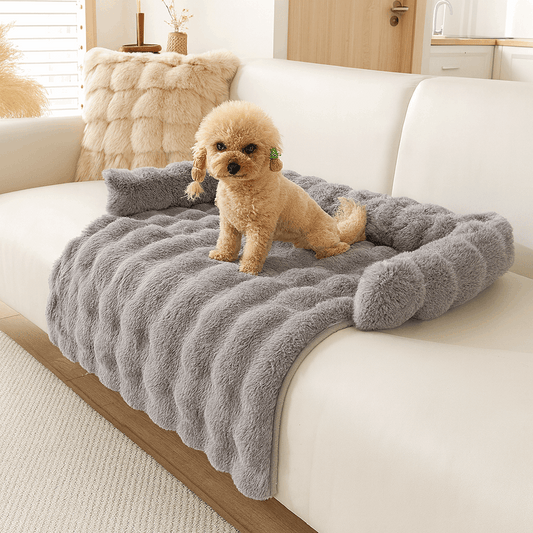 Calming Dog Sofa Bed