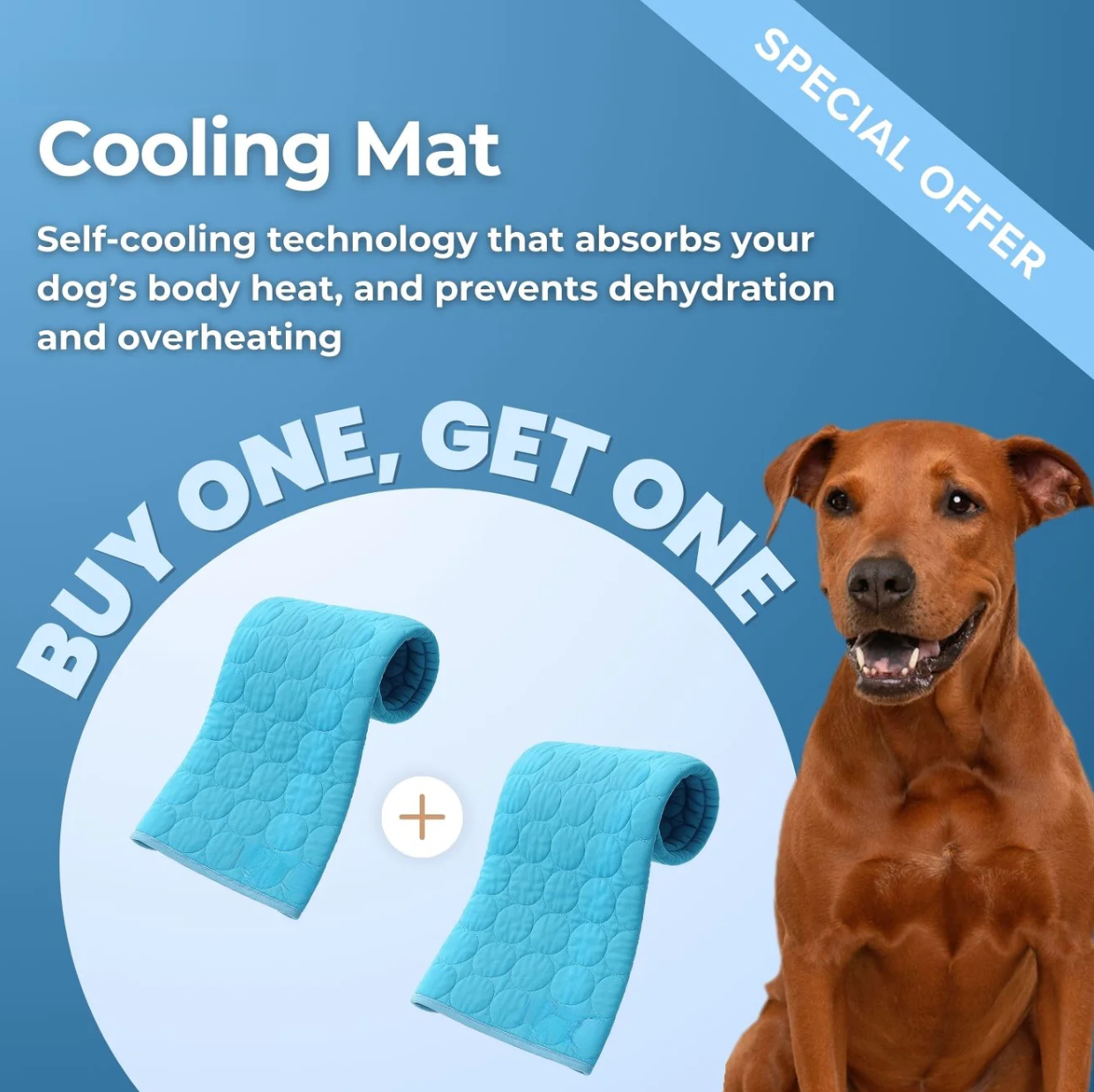 Pet Cooling Mat (1+1)
