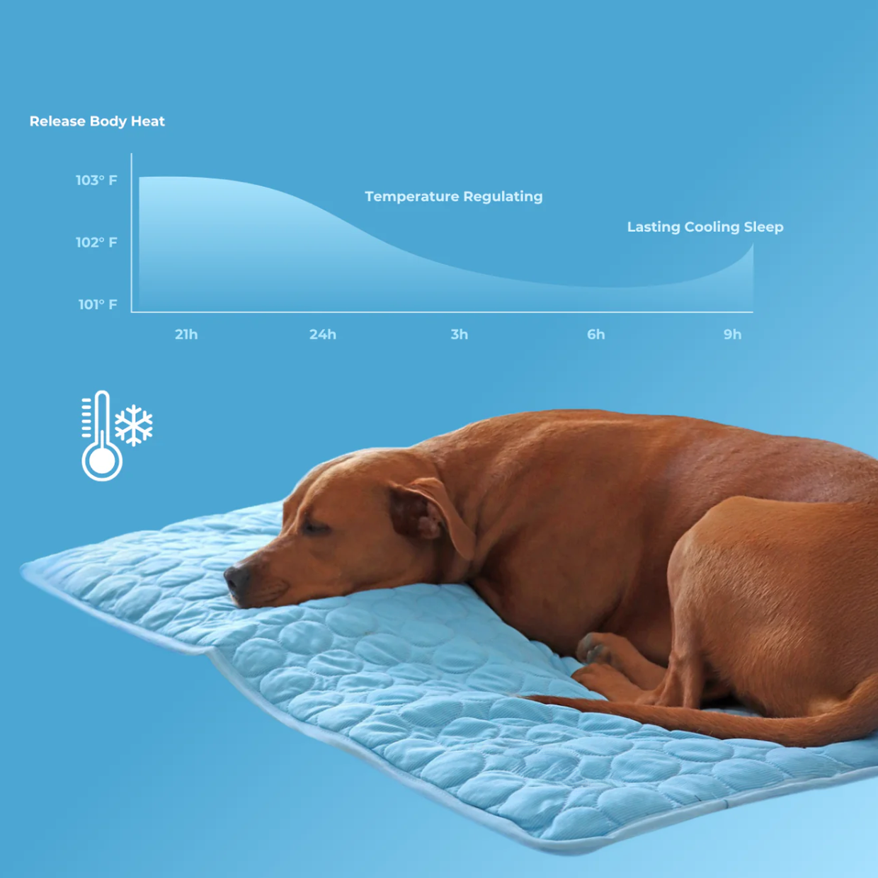 Pet Cooling Mat (1+1)