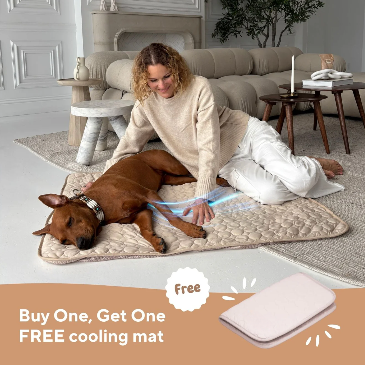 Pet Cooling Mat (1+1)