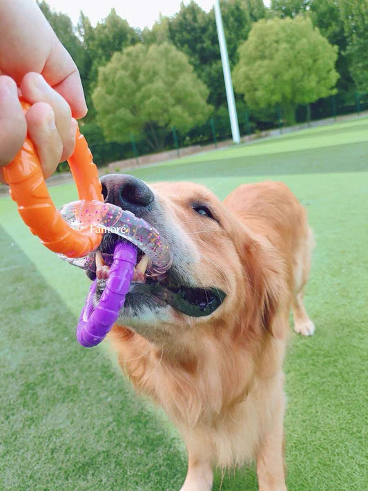3-Ring Tug Dog Toy | Safe & Durable