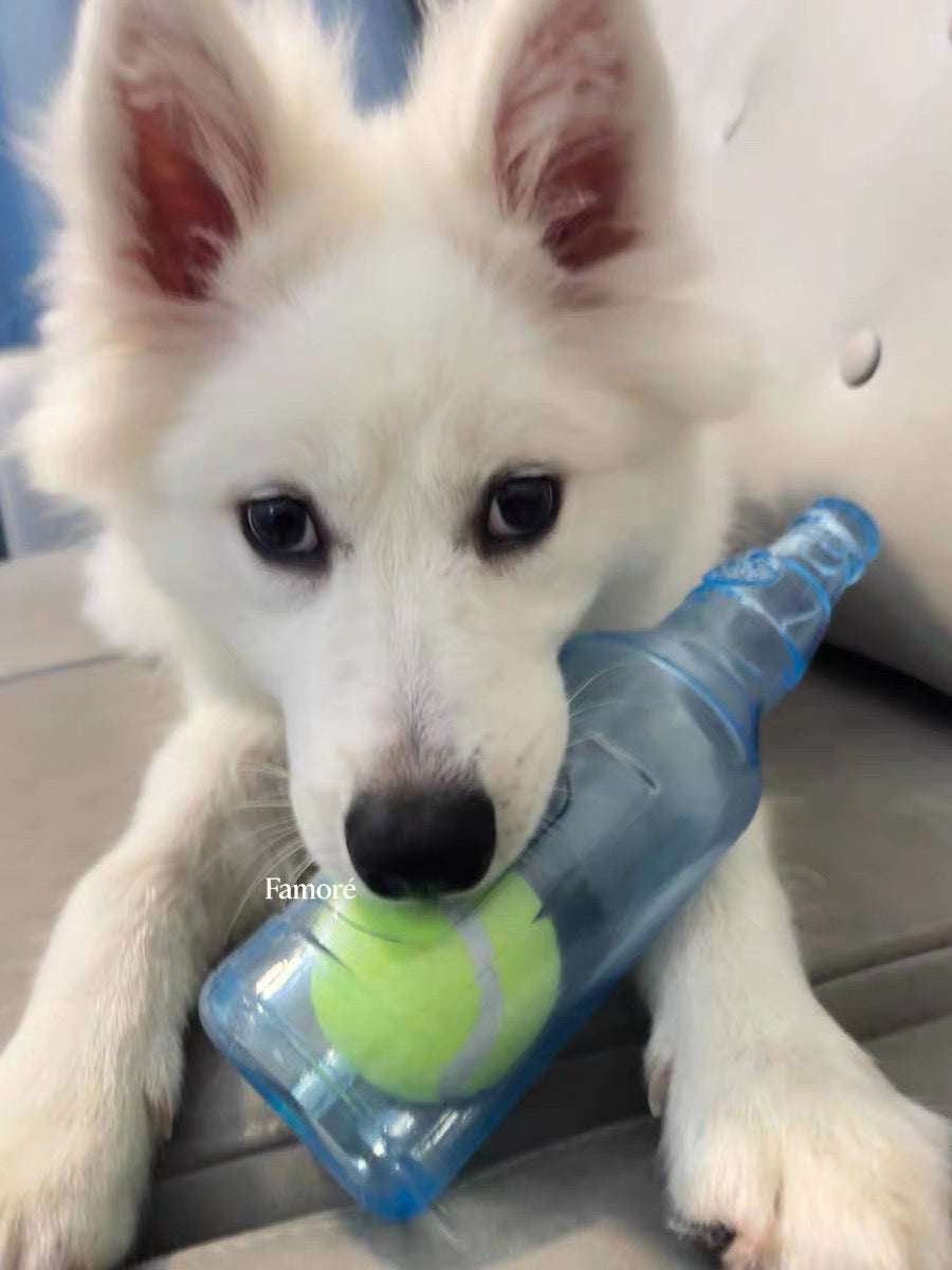 Rubber Bottle Squeaky Dog Toy | Interactive Dog Toy with Tennis Ball