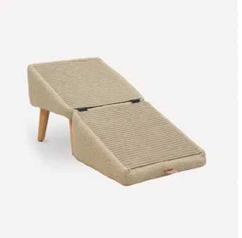 Dog Ramp