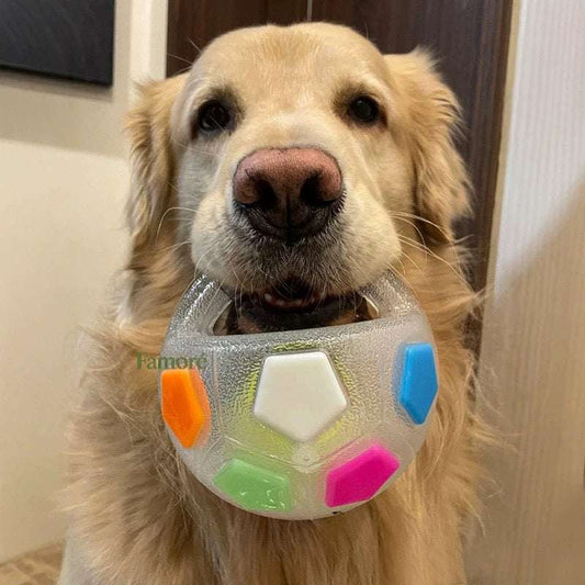 Durable Calming Ball ⚽️Tough & Tooth-Safe