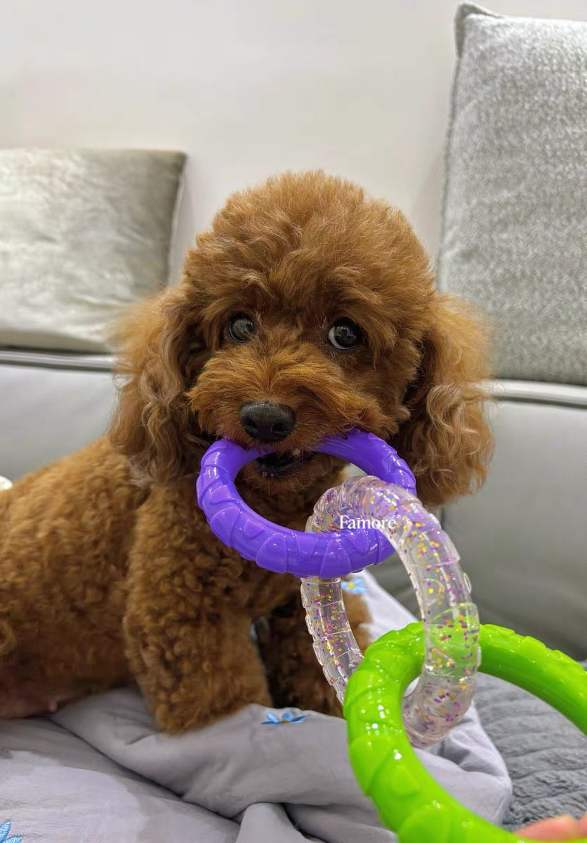 3-Ring Tug Dog Toy | Safe & Durable