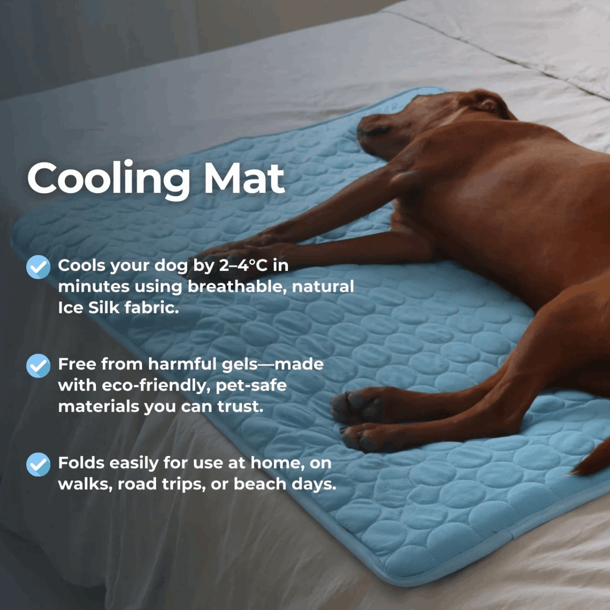 Cooling Mat for Dogs & Cats — Buy 1 Get 1 Free