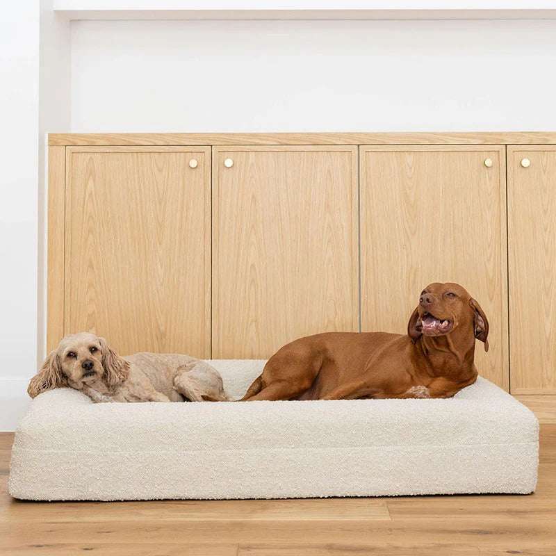 Orthopedic Memory Foam Dog Bed
