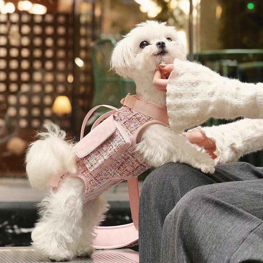 Fashion Forward Dog Carrier Sling