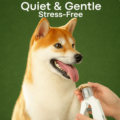 2-in-1 Pet Nail Trimmer & Grinder with LED Light