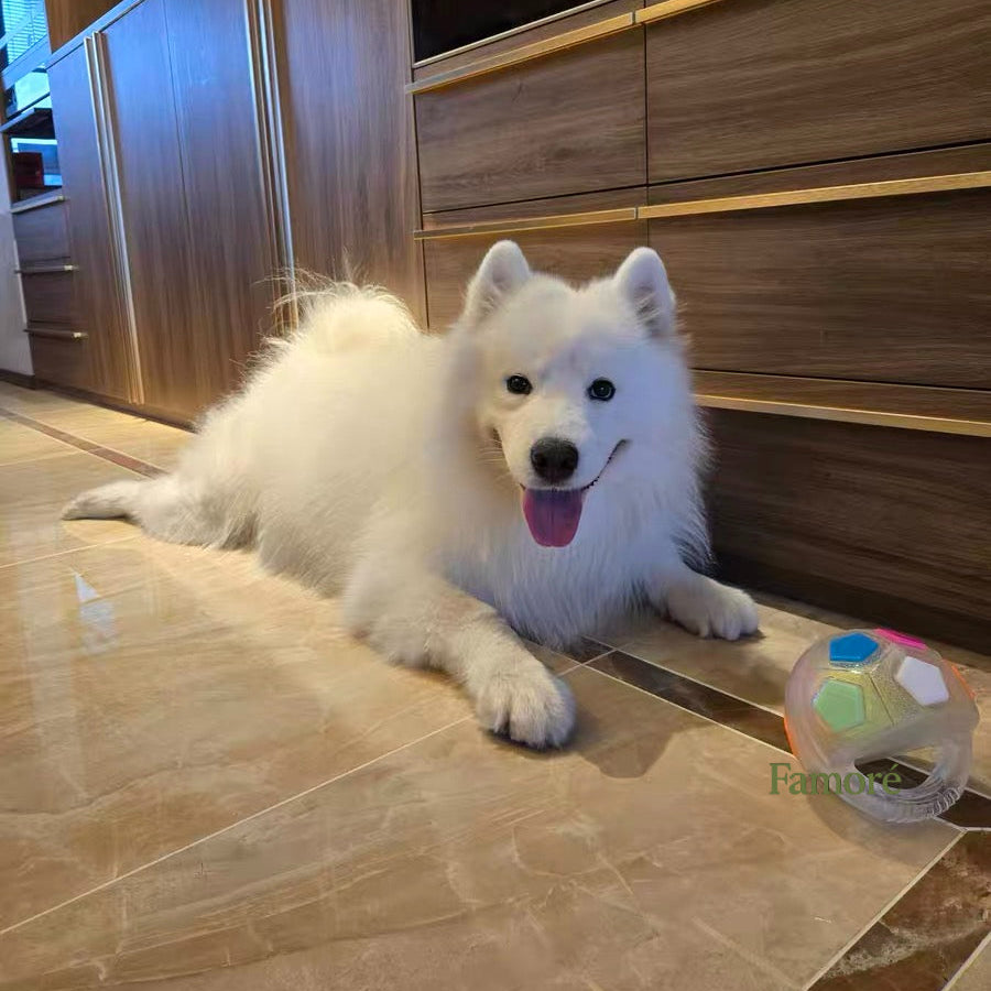 White dog lying on a tiled floor in a modern interior setting