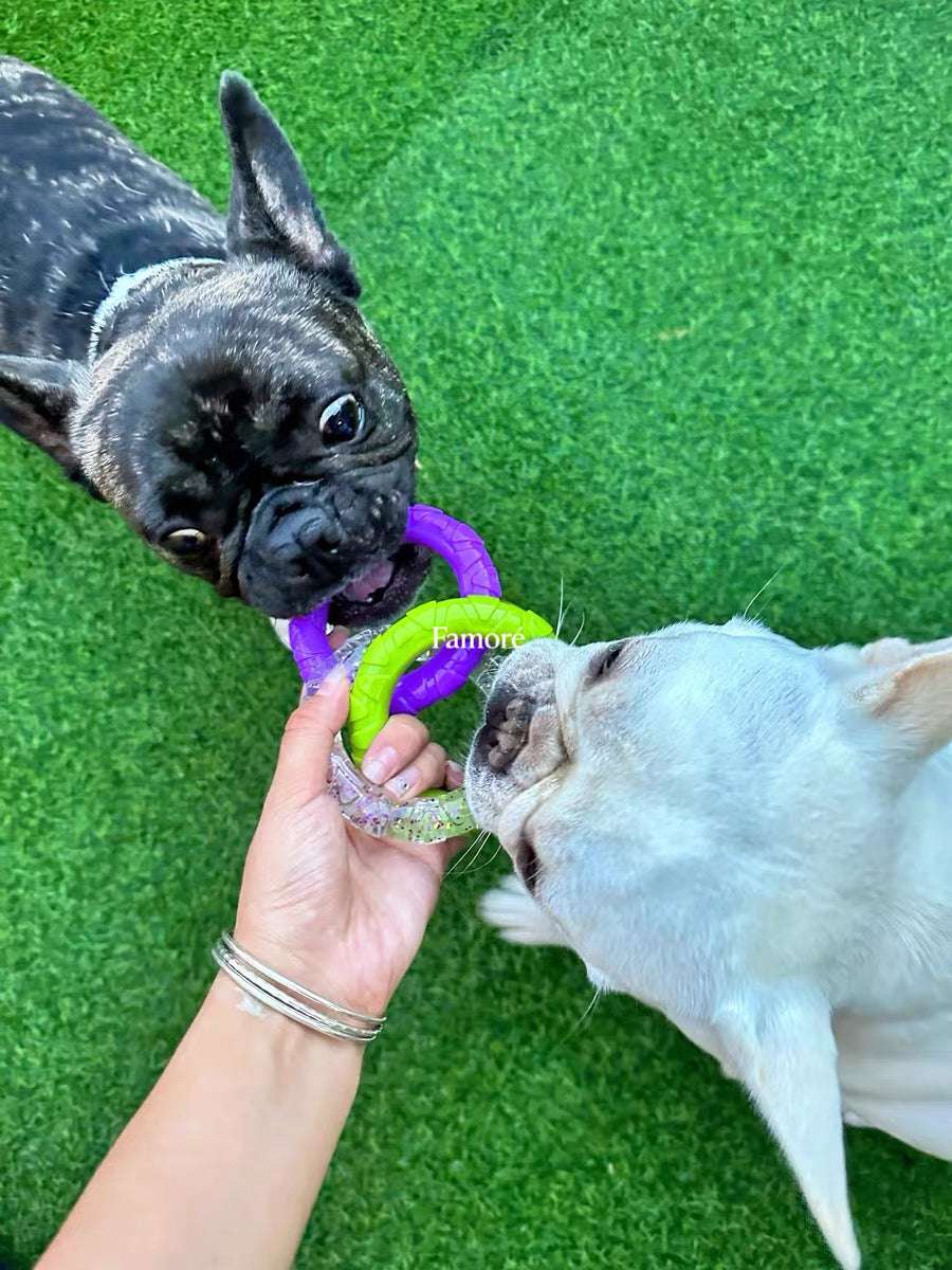 3-Ring Tug Dog Toy | Safe & Durable