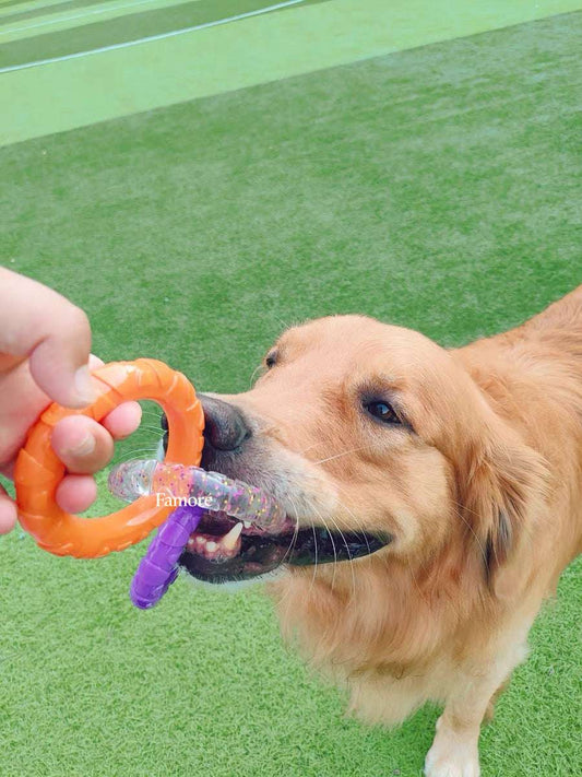 3-Ring Tug Dog Toy | Safe & Durable