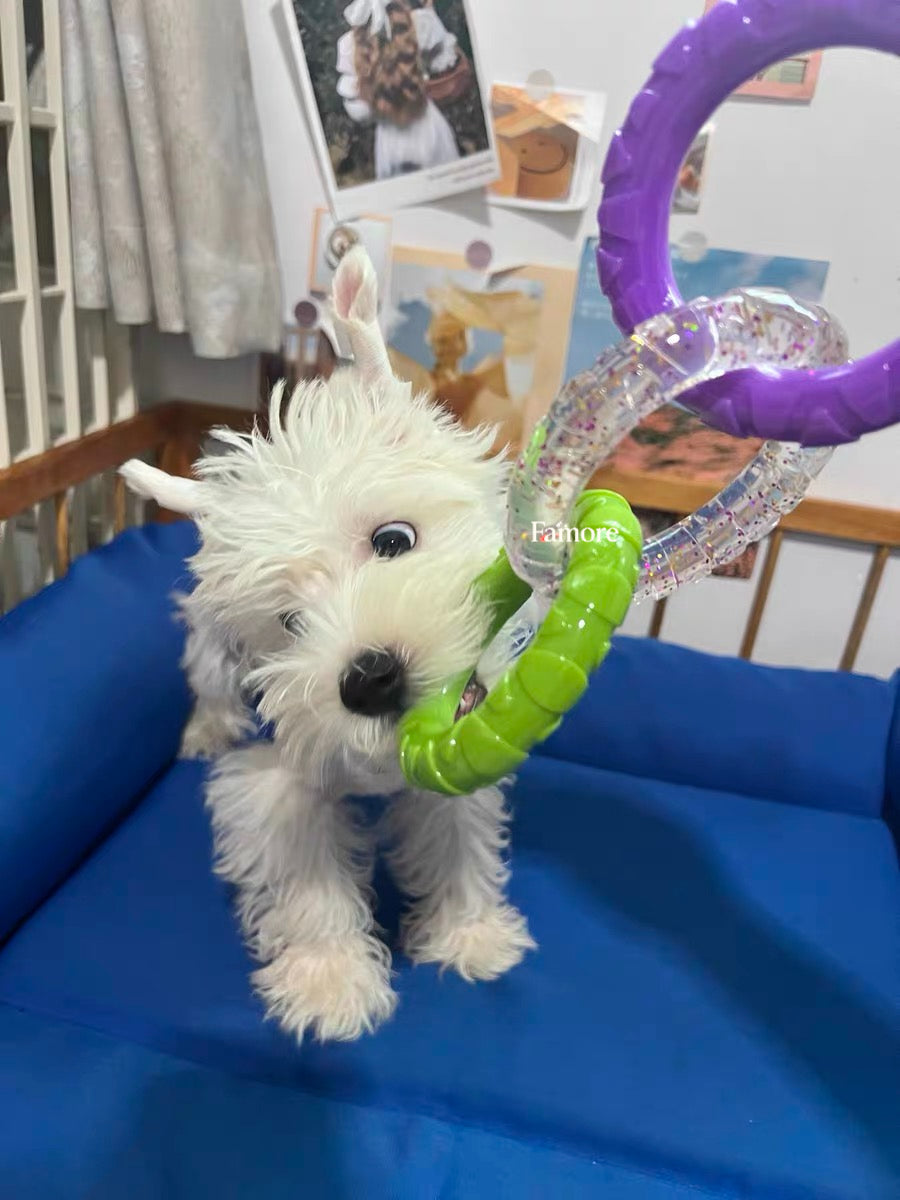 3-Ring Tug Dog Toy | Safe & Durable