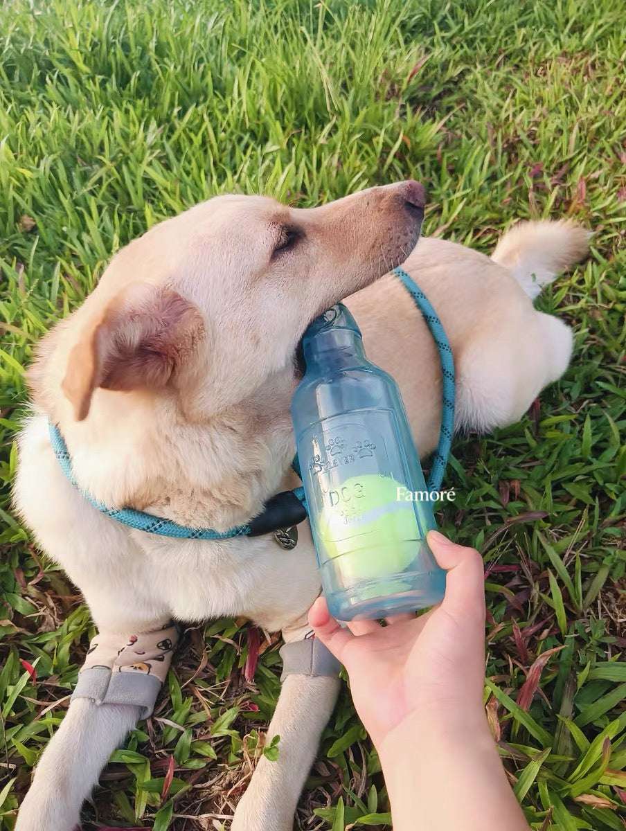 Rubber Bottle Squeaky Dog Toy | Interactive Dog Toy with Tennis Ball