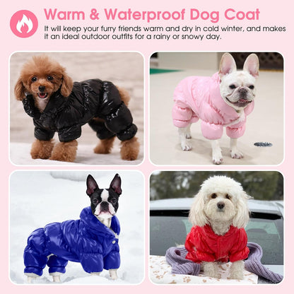 Waterproof Puppy Puffer Jacket Snow Coats