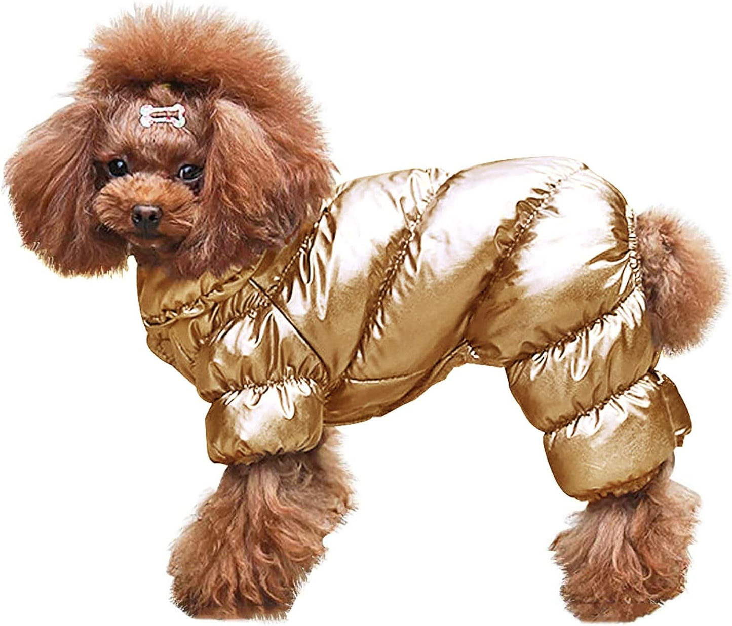 Waterproof Puppy Puffer Jacket Snow Coats