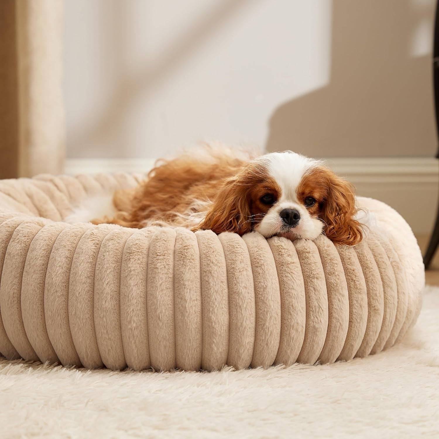 Donut Dog Bed