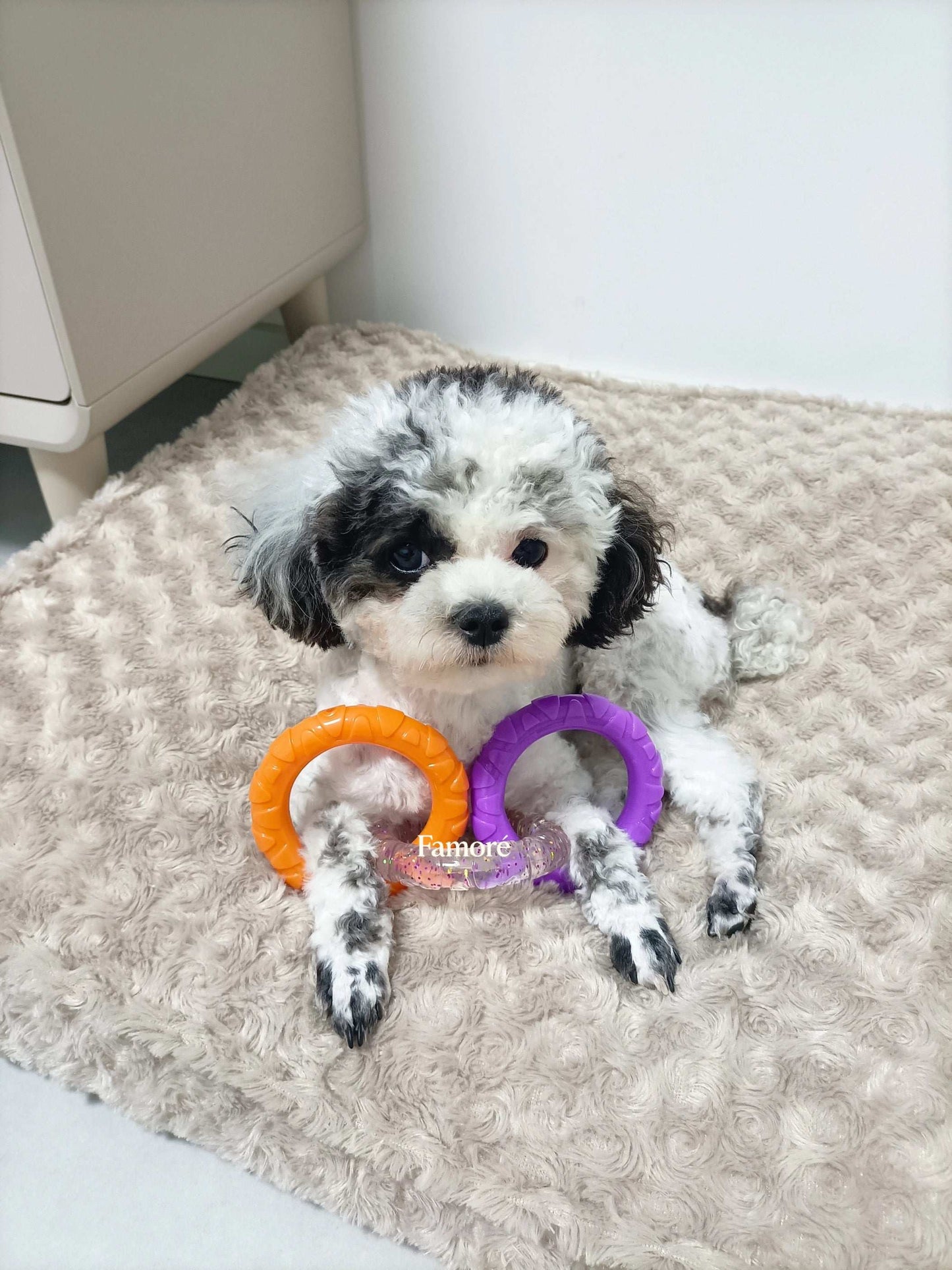 3-Ring Tug Dog Toy | Safe & Durable