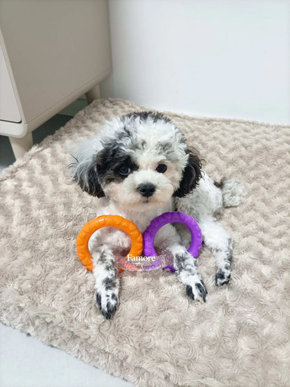 3-Ring Tug Dog Toy | Safe & Durable