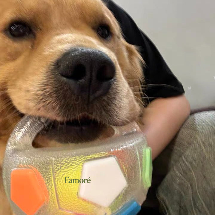 Dog holding a colorful toy with 'Famore' branding