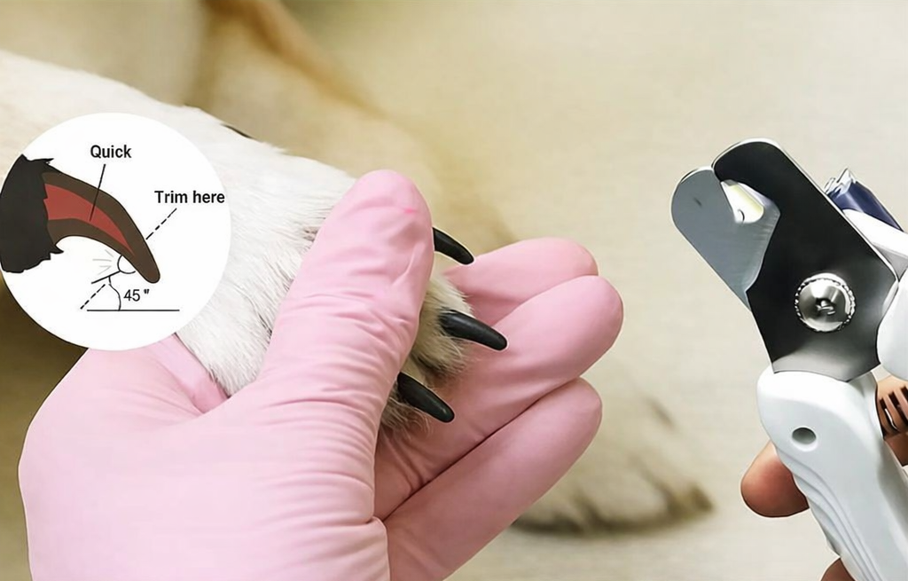 2-in-1 Pet Nail Trimmer & Grinder with LED Light