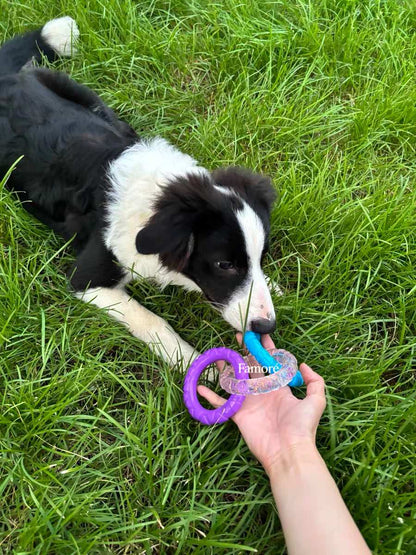 3-Ring Tug Dog Toy | Safe & Durable