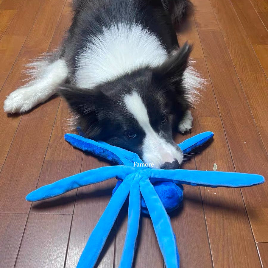 Dog playing with a blue spider-shaped toy on a wooden floor