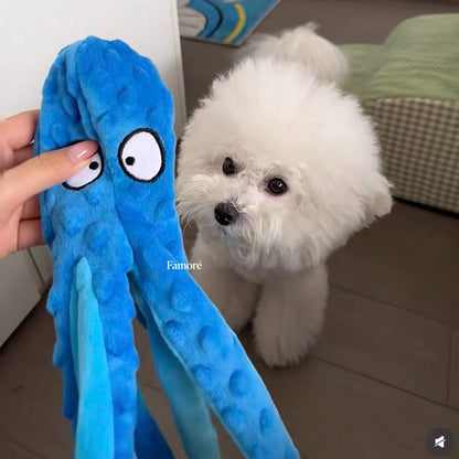 White dog looking at a blue toy with a hand holding it, on a neutral background.