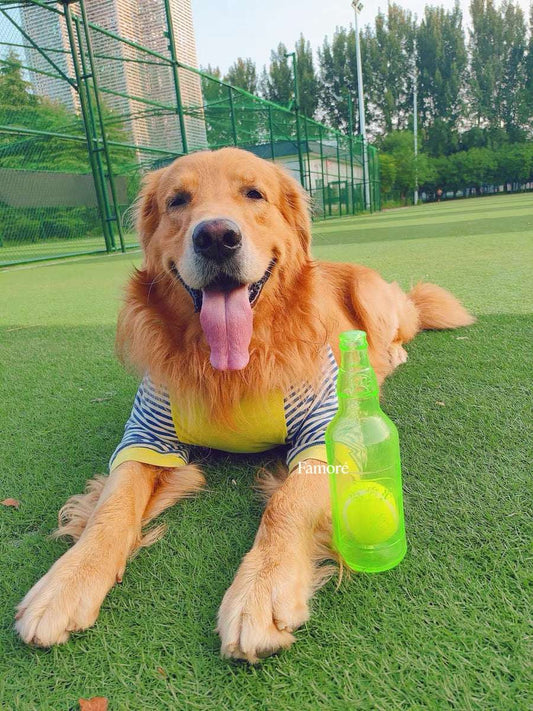 Rubber Bottle Squeaky Dog Toy | Interactive Dog Toy with Tennis Ball