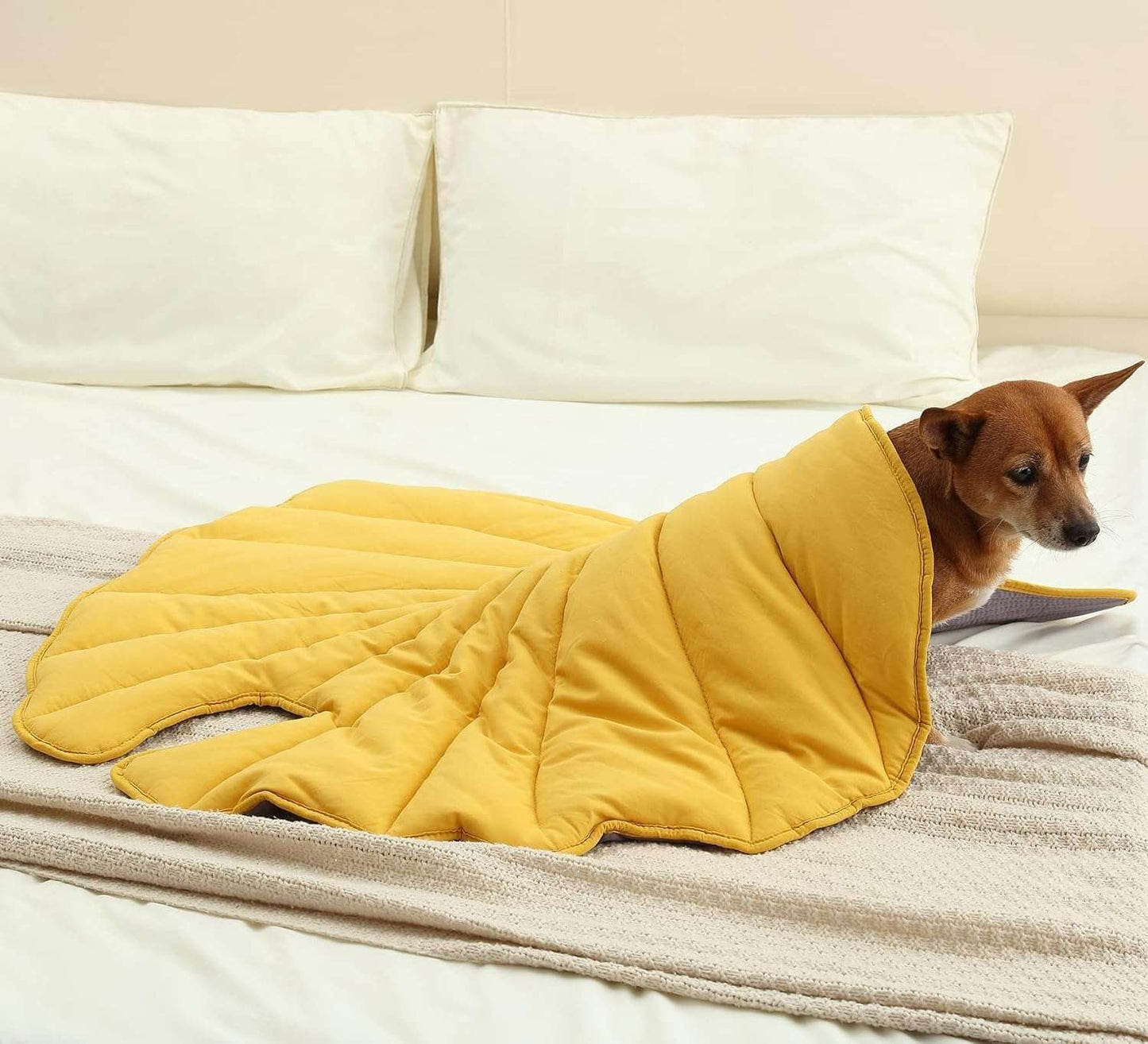 Leaf-Shaped Pet Blanket
