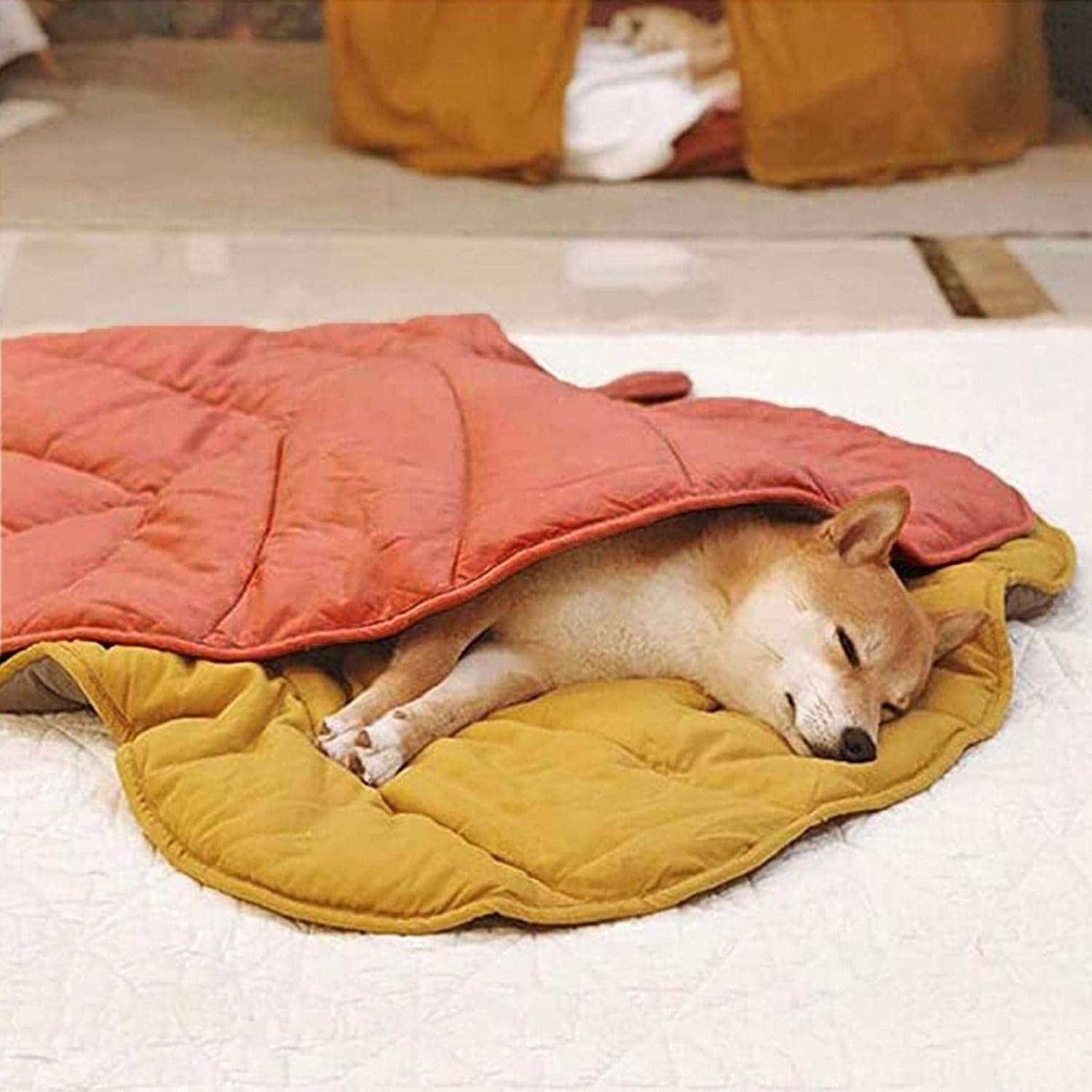 Leaf-Shaped Pet Blanket
