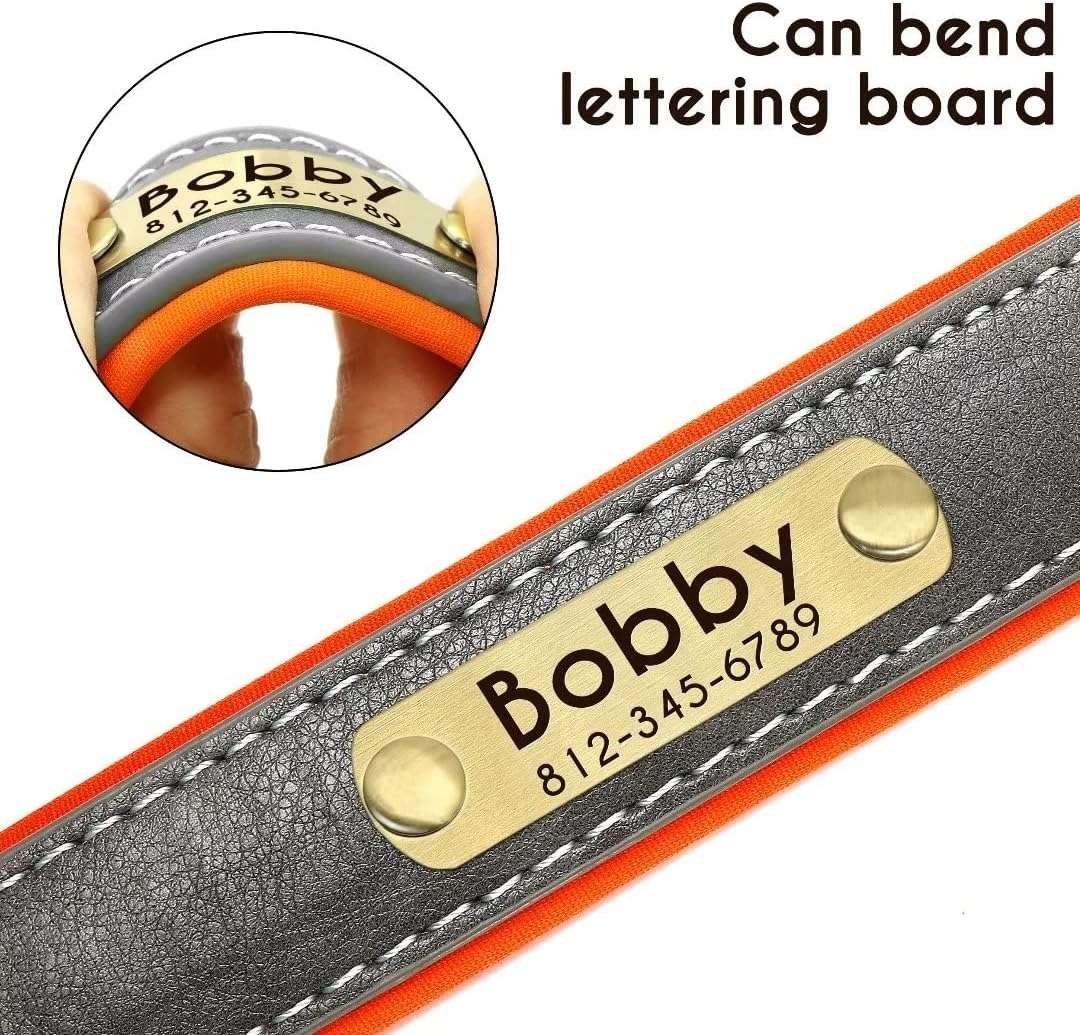 Personalized Leather Dog Collar
