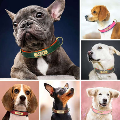 Personalized Leather Dog Collar