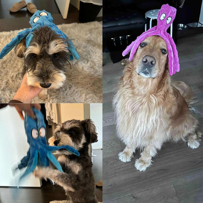 Squeaky Dog Toys