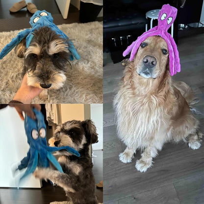 Squeaky Dog Toys