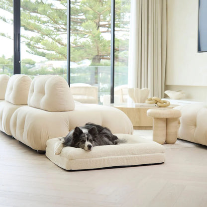 Orthopedic Memory Foam Dog Bed