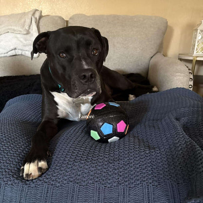 Dog lying on a blue blanket with a colorful toy in a living room setting