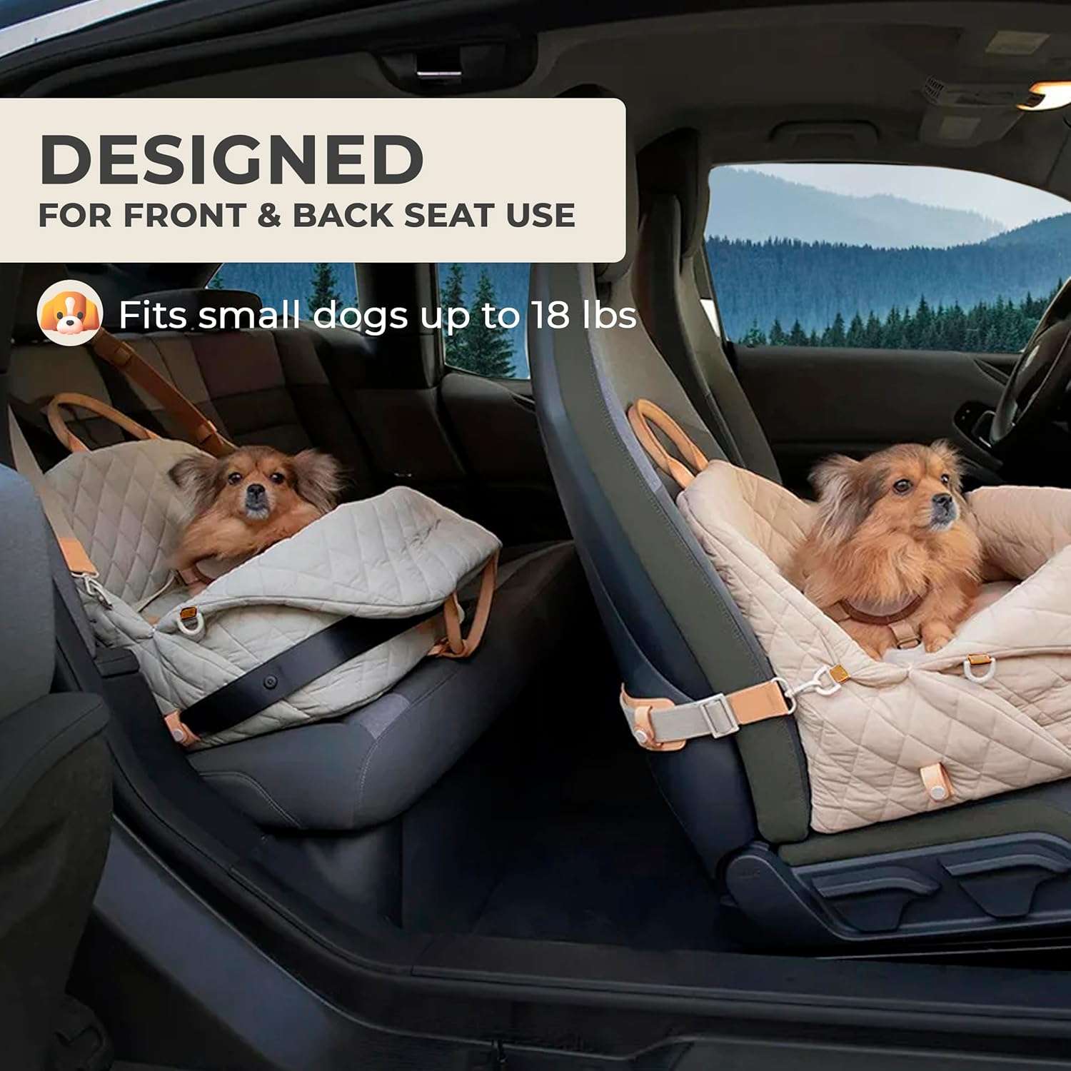 Multifunctional Pet Carrier & Car Seat
