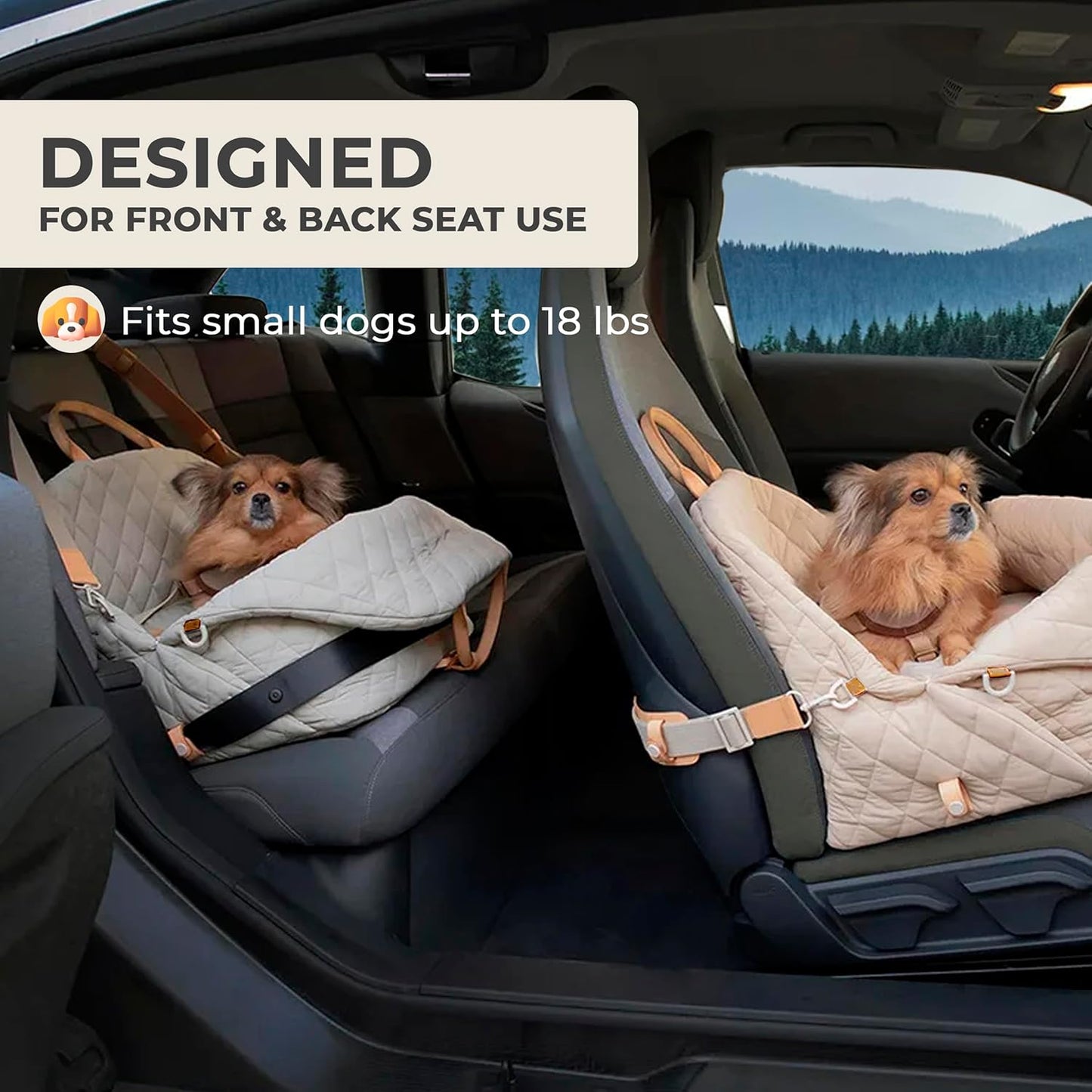 Trasportino multifunzionale per animali domestici e seggiolino auto 