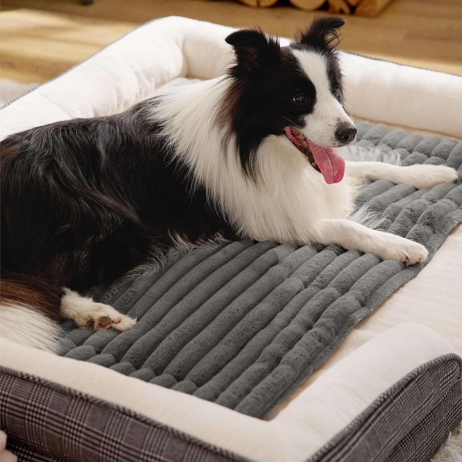 Self Heating Pet Mat for Dogs & Cats｜Buy 1 Get 1 Free