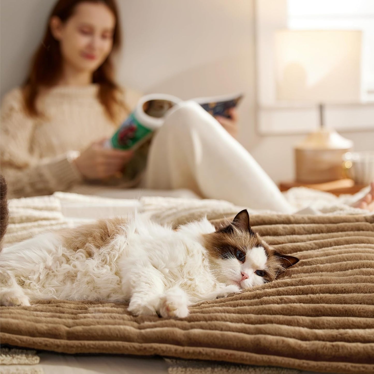 Self-Warming Pet Mat for Dogs & Cats｜Buy 1 Get 1 Free