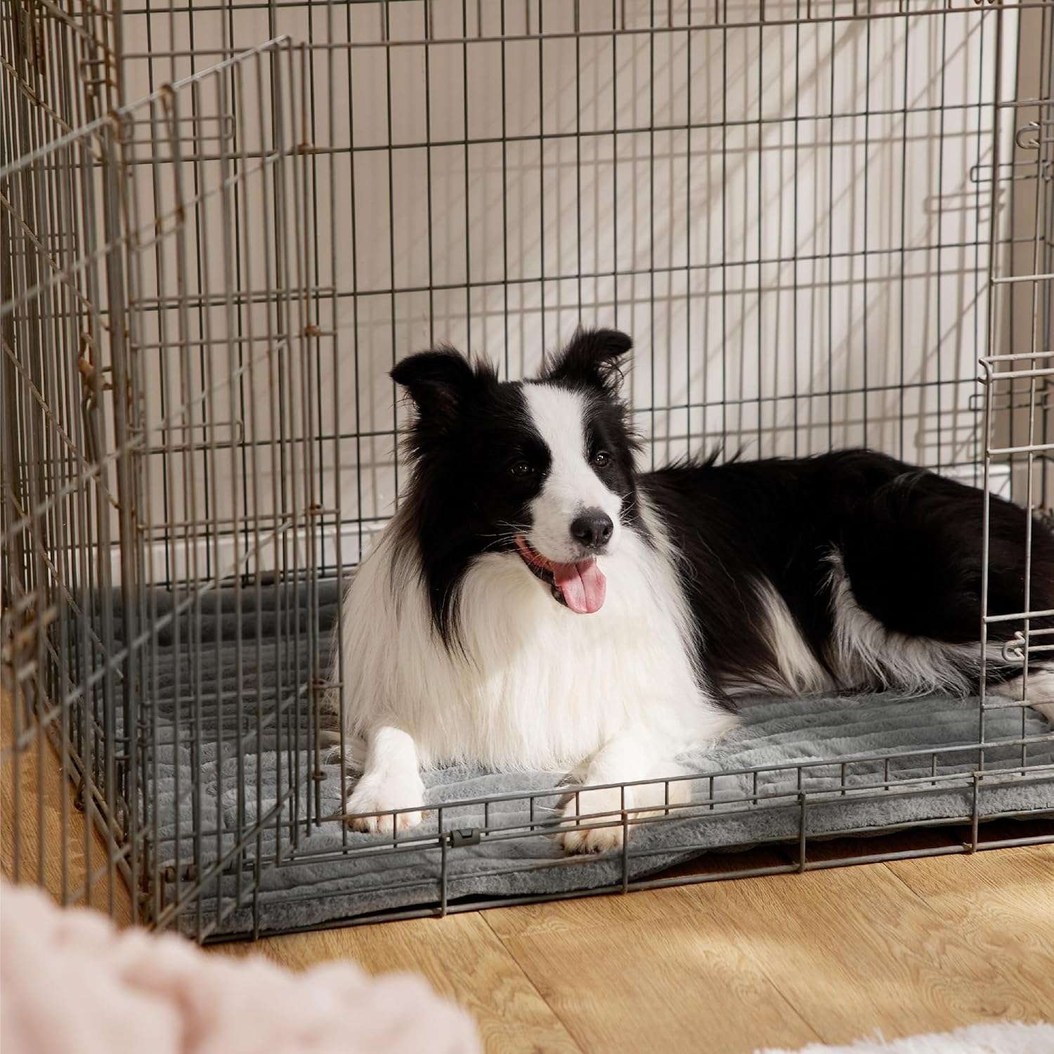 Self Heating Pet Mat for Dogs & Cats｜Buy 1 Get 1 Free