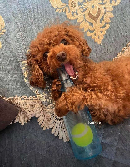 Rubber Bottle Squeaky Dog Toy | Interactive Dog Toy with Tennis Ball