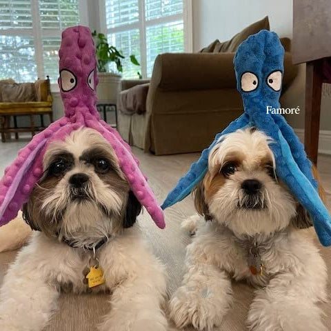 Two small dogs wearing octopus-shaped hats indoors.