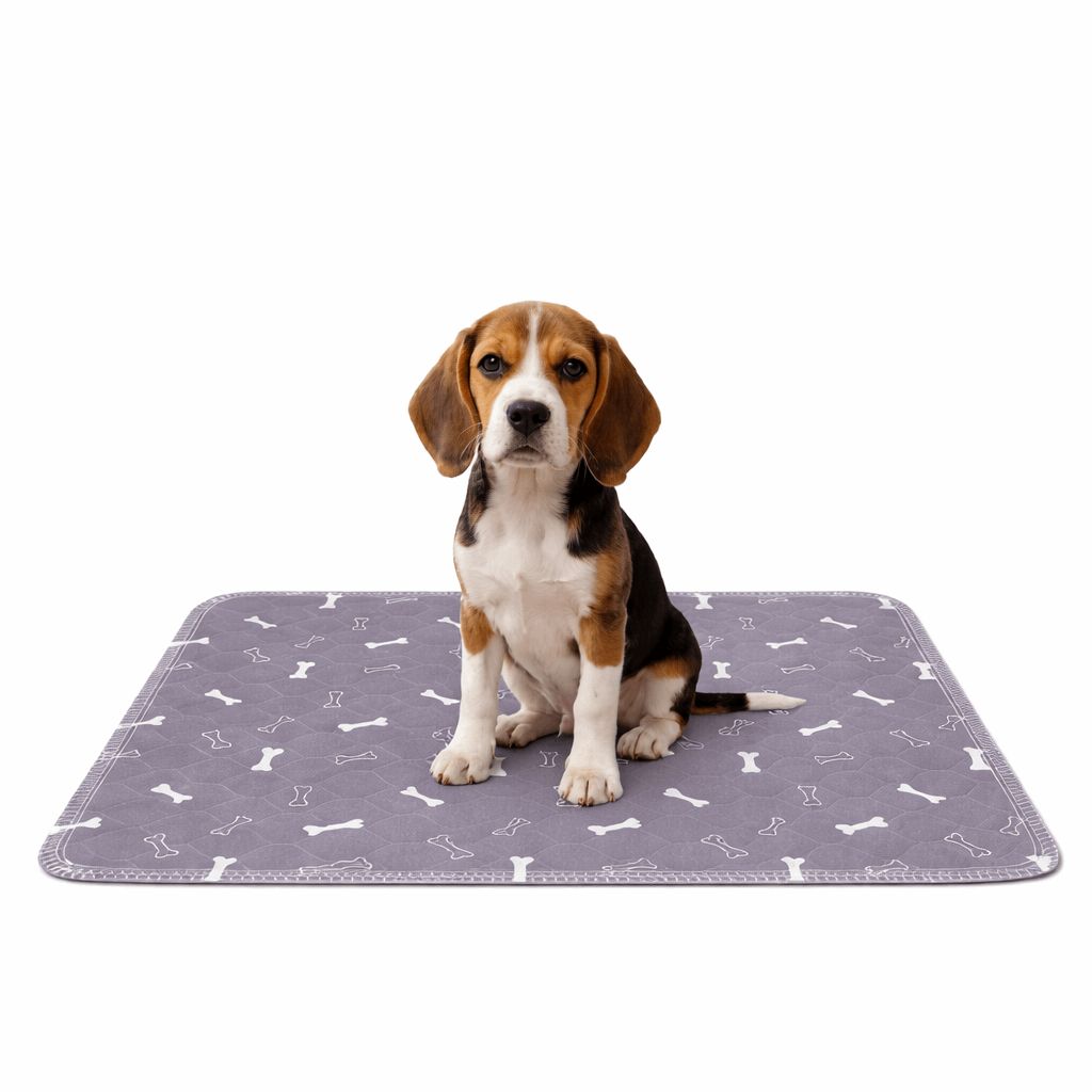 Famoré™ Washable Durable Pee Pad
