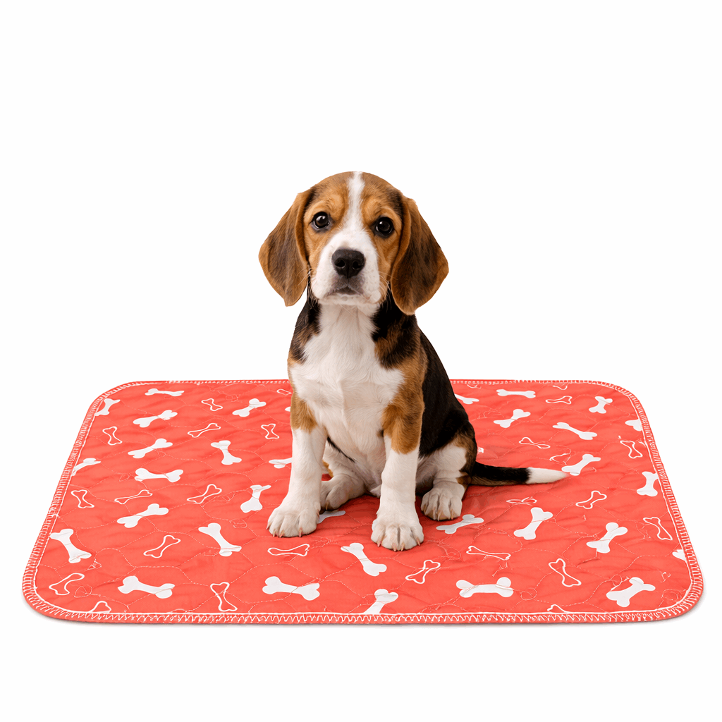 Famoré™ Washable Durable Pee Pad