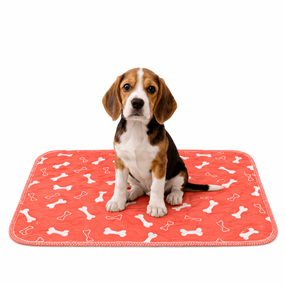 Famoré™ Washable Durable Pee Pad