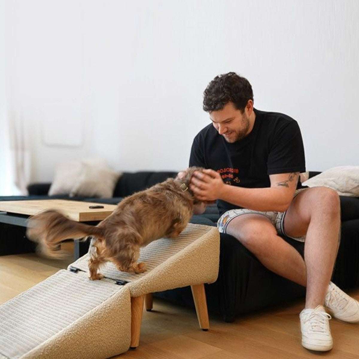 🐾 Ottoman & Dog Ramp