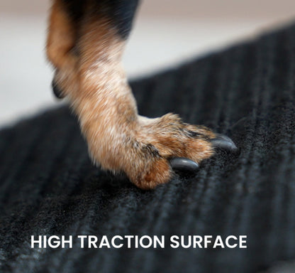 🐾 Ottoman & Dog Ramp