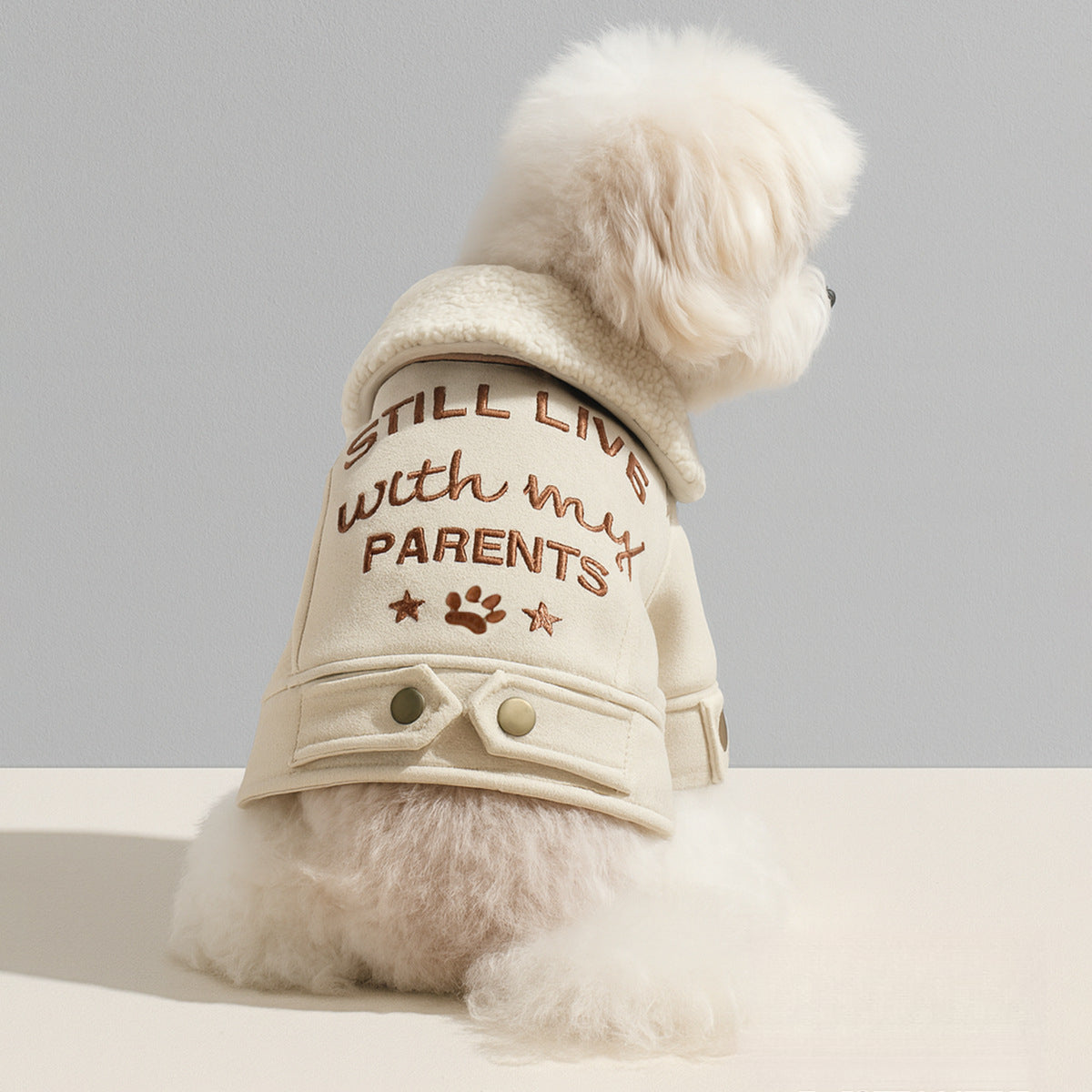 🐶NEW IN|Warm Winter Coat for Small Dogs